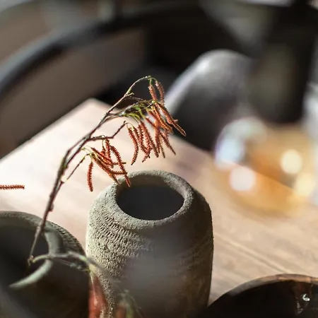 Nova Gosta Montafon Neu By Pferd Auf Wolke Apartmán